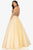 Terani Couture - 2011P1149 Beaded Illusion Lattice Tulle Ballgown Prom Dresses