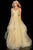 Terani Couture - 2011P1213 Crisscross Rendered Tiered A-Line Gown Prom Dresses 00 / Gold