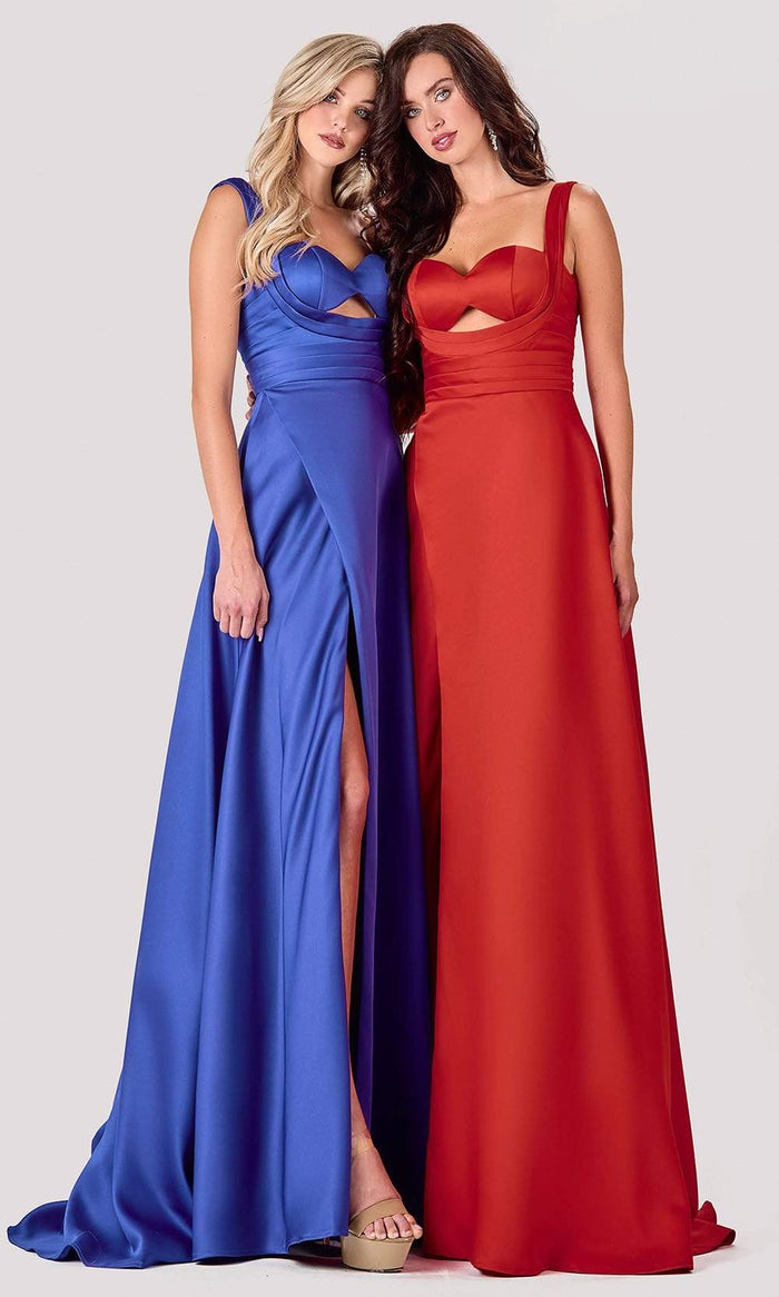 Terani Couture - 2111P4100 Pleated Sweetheart A-line Dress In Red and Blue
