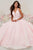 Tiffany Designs - 16325 Floral Plunging V-Neck Ballgown Special Occasion Dress 0 / Pale Pink