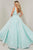 Tiffany Designs - 16325 Floral Plunging V-Neck Ballgown Special Occasion Dress