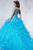 Tiffany Designs - 56257 Ornate Off-Shoulder Lace Bodice Ballgown Special Occasion Dress