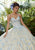 Vizcaya by Mori Lee - 34011 Strapless Ornate Floral Appliqued Ballgown Quinceanera Dresses