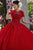 Vizcaya by Mori Lee - 34026 Illusion Halter Lace Ballgown Ball Gowns
