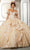 Vizcaya by Mori Lee - 34051 Sweetheart Appliqued Ball Gown Quinceanera Dresses 00 / Champagne/Rose Gold