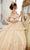 Vizcaya by Mori Lee - 34051 Sweetheart Appliqued Ball Gown Quinceanera Dresses