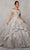 Vizcaya by Mori Lee - 34055 Sweetheart Natural Ball Gown Quinceanera Dresses 00 / Ivory/Silver