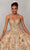 Vizcaya by Mori Lee - 34055 Sweetheart Natural Ball Gown Quinceanera Dresses