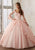 Vizcaya by Mori Lee - 60015 Sheer Bell Sleeve Embroidered Ballgown Quinceanera Dresses