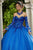 Vizcaya by Mori Lee - 60110 Strapless Patterned Sequin Bodice Ballgown Quinceanera Dresses