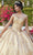 Vizcaya by Mori Lee - 60121 Cap Sleeve Embroidered Brocade Ballgown Quinceanera Dresses