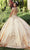 Vizcaya by Mori Lee - 60121 Cap Sleeve Embroidered Brocade Ballgown Quinceanera Dresses
