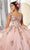 Vizcaya by Mori Lee - 60146 Appliqued Off Shoulder Ball Gown Quinceanera Dresses