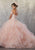 Vizcaya by Mori Lee - 89174 Floral Applique Off-Shoulder Tulle Gown Quinceanera Dresses
