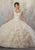 Vizcaya by Mori Lee - 89177 Beaded Lace V-neck Tulle Ballgown Quinceanera Dresses 0 / Champagne/Nude