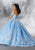 Vizcaya by Mori Lee - 89186 Sequined Motif Tulle Ballgown Quinceanera Dresses