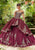 Vizcaya by Mori Lee - 89241 Metallic Crystalline Appliqued Ballgown Quinceanera Dresses 0 / Wine