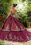 Vizcaya by Mori Lee - 89241 Metallic Crystalline Appliqued Ballgown Quinceanera Dresses