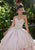 Vizcaya by Mori Lee - 89248 Dimensional Metallic Embroidered Ballgown Quinceanera Dresses 0 / Blush/Rose Gold