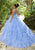 Vizcaya by Mori Lee - 89250 Floral Applique V-neck Tulle Ballgown Quinceanera Dresses