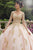 Vizcaya by Mori Lee - 89272 Metallic Lace Long Sleeves Ballgown Quinceanera Dresses