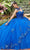 Vizcaya by Mori Lee - 89286 Floral Applique Sweetheart Ballgown Quinceanera Dresses 0 / Royal