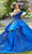 Vizcaya by Mori Lee - 89286 Floral Applique Sweetheart Ballgown Quinceanera Dresses