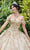 Vizcaya by Mori Lee - 89289 Floral Applique Off-Shoulder Ballgown Quinceanera Dresses