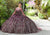 Vizcaya by Mori Lee - 89297 Jewel-Strewn Floral Appliqued Ballgown Quinceanera Dresses