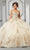 Vizcaya by Mori Lee - 89311 Scoop Appliqued Ball Gown Quinceanera Dresses 00 / Champagne/Gold