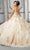 Vizcaya by Mori Lee - 89311 Scoop Appliqued Ball Gown Quinceanera Dresses
