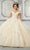Vizcaya by Mori Lee - 89316 Applique Off Shoulder Tulle Ballgown Quinceanera Dresses 00 / Champagne