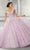 Vizcaya by Mori Lee - 89316 Applique Off Shoulder Tulle Ballgown Quinceanera Dresses 00 / Light Purple