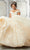 Vizcaya by Mori Lee - 89316 Applique Off Shoulder Tulle Ballgown Quinceanera Dresses