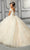 Vizcaya by Mori Lee - 89316 Applique Off Shoulder Tulle Ballgown Quinceanera Dresses