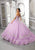 Vizcaya by Mori Lee - 89318 Floral Accented Tulle Ballgown Special Occasion Dress