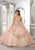 Vizcaya by Mori Lee - 89321 V Neck Striking Detailed Ballgown Quinceanera Dresses 00 / Blush