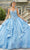 Vizcaya by Mori Lee 89416 - Sleeveless Glittered Quinceanera Gown Evening Dresses